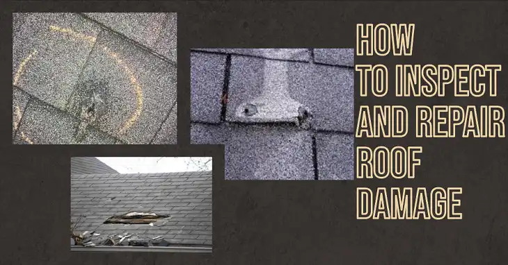 Inspect and Repair Roof Damage